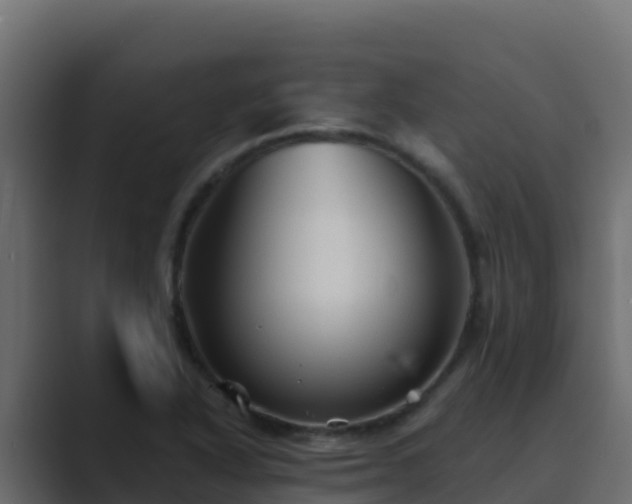 X0000089681318200706281350