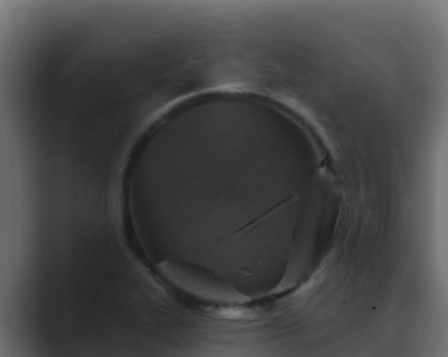 X0000089681319200706281350