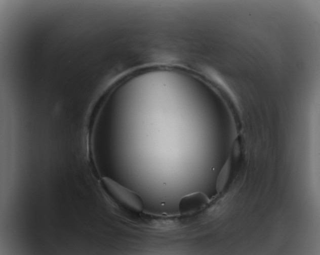 X0000089681320200706281350