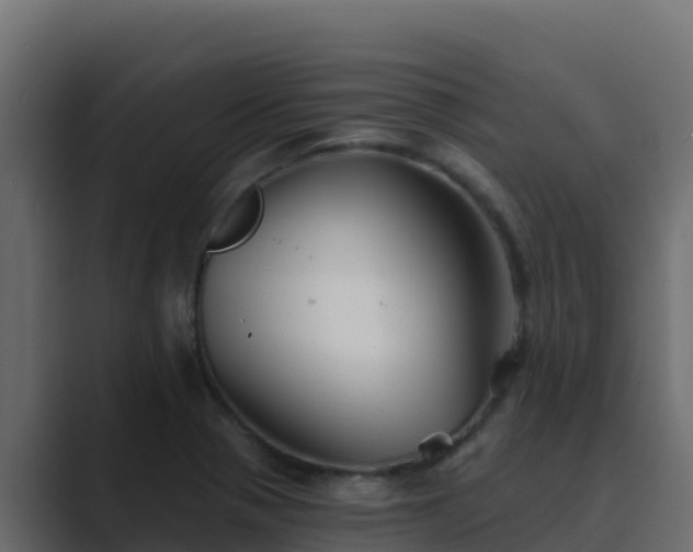 X0000089681321200706281350