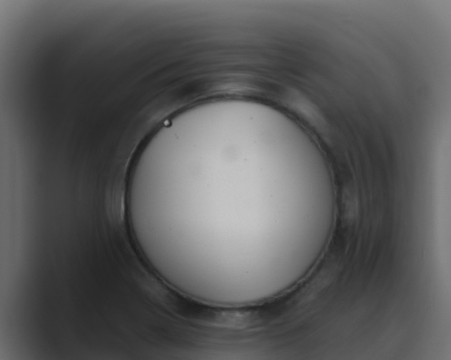 X0000089681322200706281350