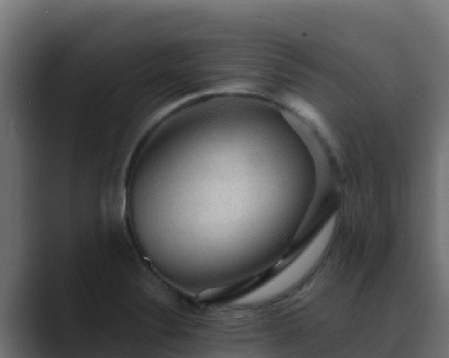 X0000089681324200706281350