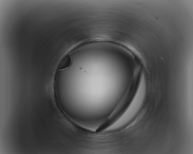 X0000089681325200706281350