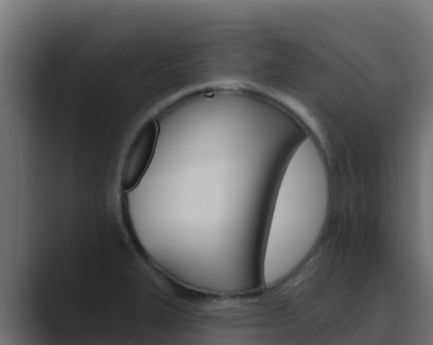 X0000089681327200706281350