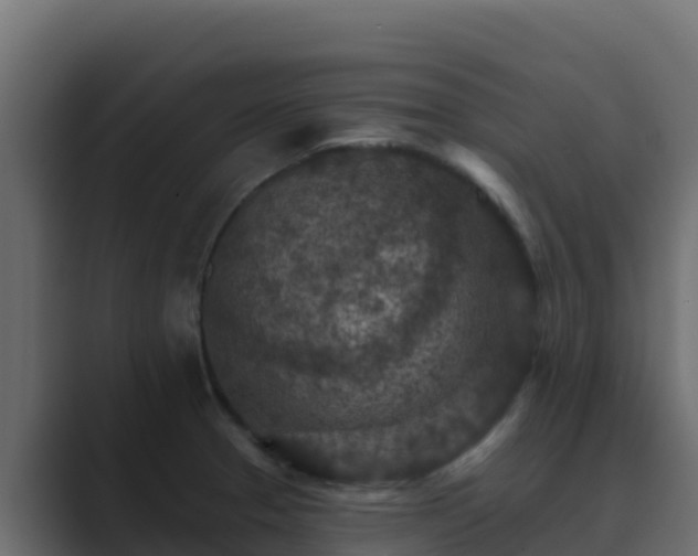 X0000089681329200706281350