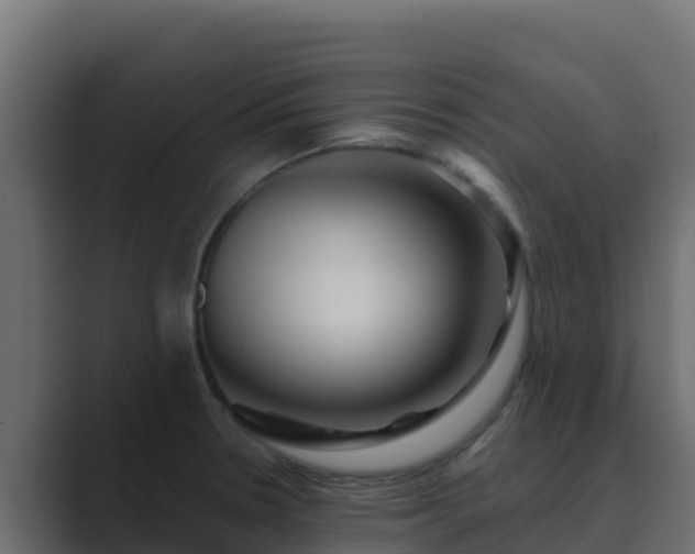 X0000089681330200706281351