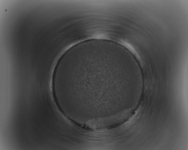X0000089681331200706281351