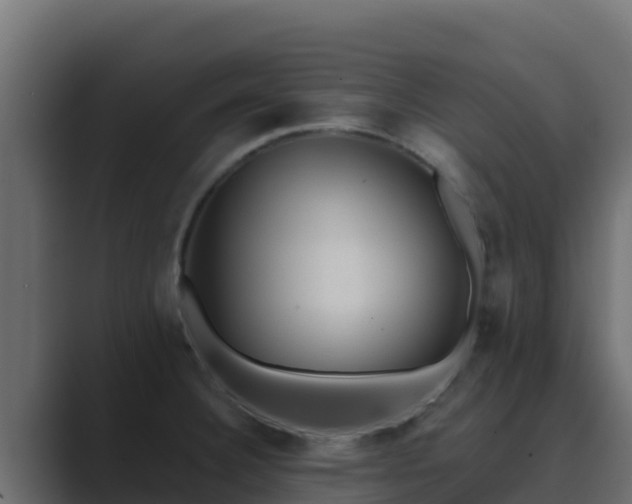X0000089681332200706281351