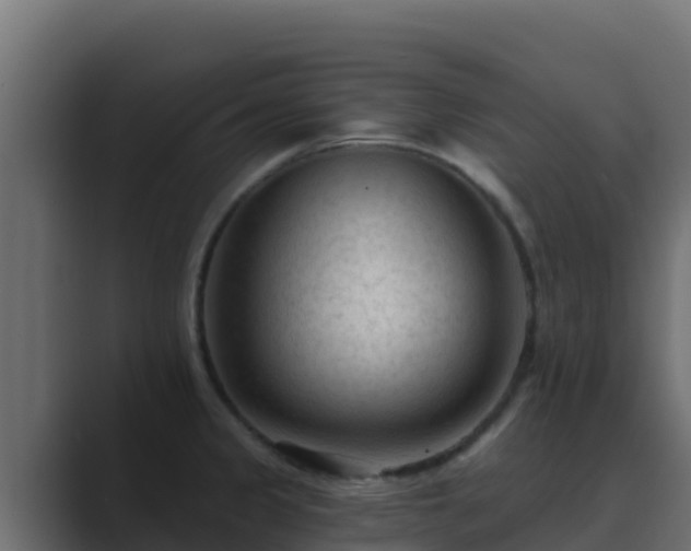 X0000089681333200706281351