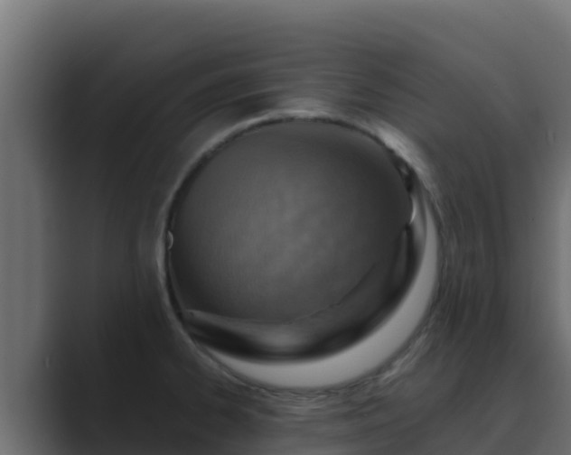 X0000089681334200706281351