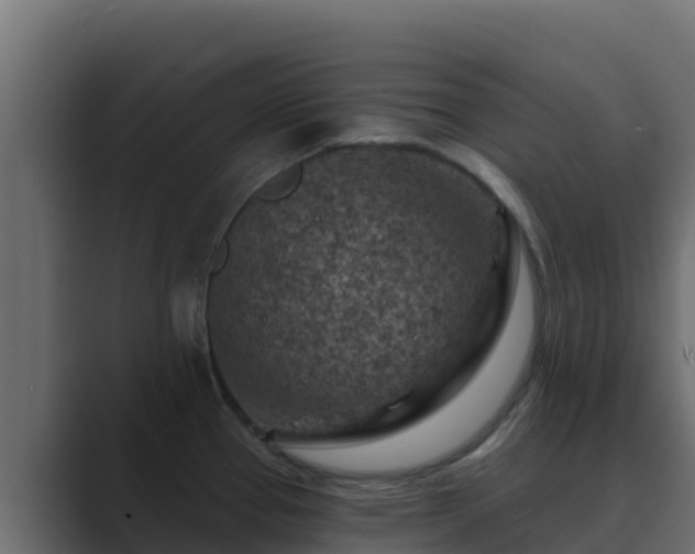 X0000089681337200706281351