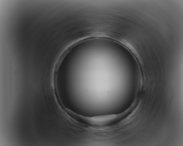 X0000089681342200706281351