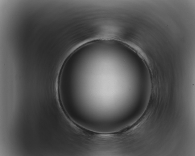 X0000089681343200706281351