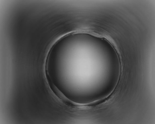 X0000089681344200706281351
