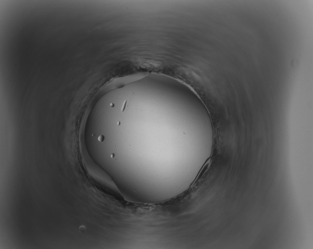 X0000089681345200706281350