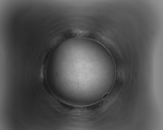 X0000089681346200706281350