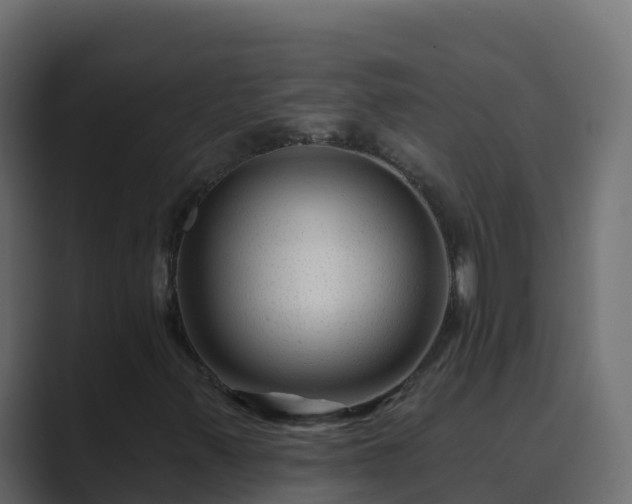 X0000089681347200706281350