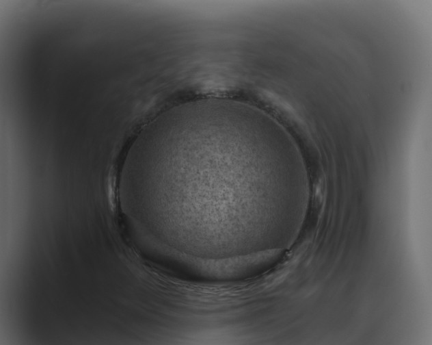 X0000089681348200706281350