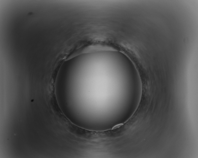 X0000089681349200706281350
