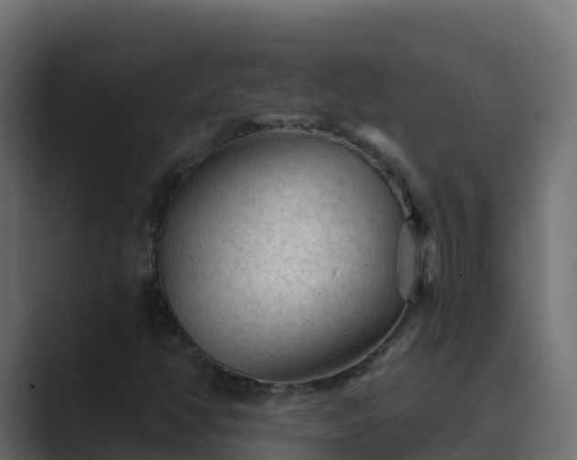 X0000089681350200706281350