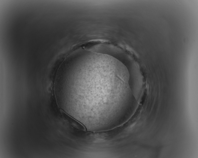 X0000089681351200706281350