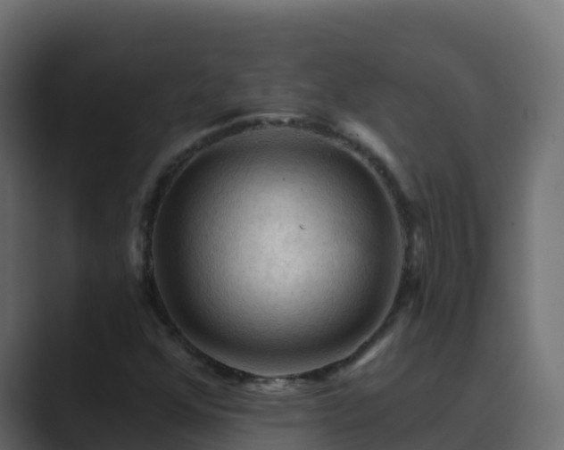 X0000089681352200706281350