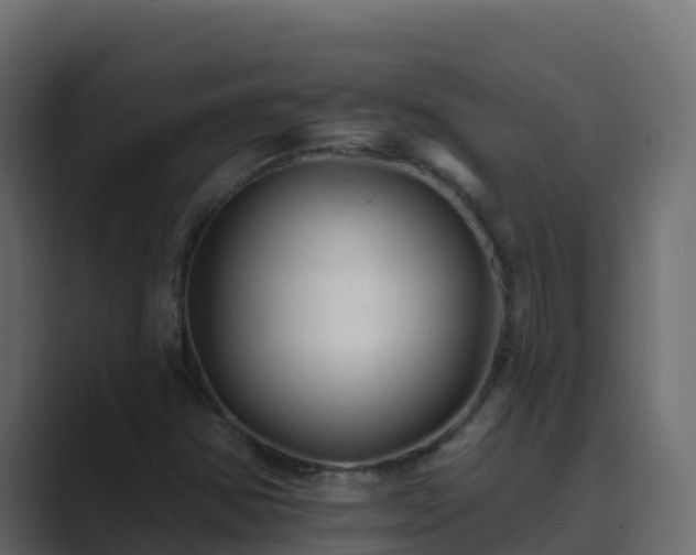 X0000089681354200706281350