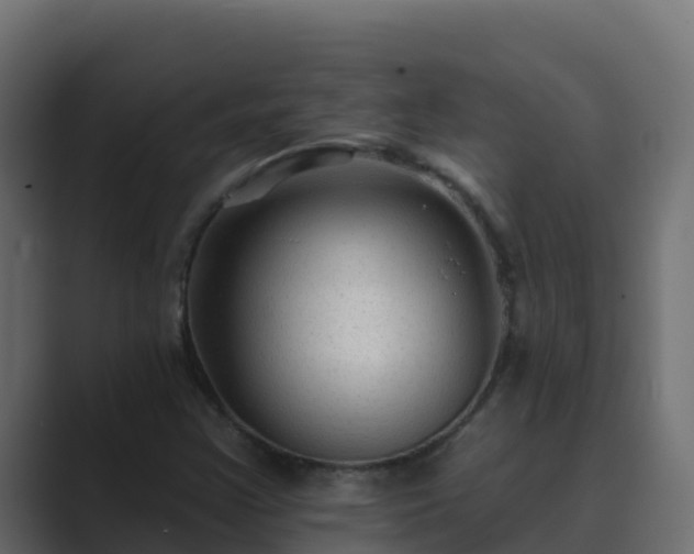 X0000089681355200706281350