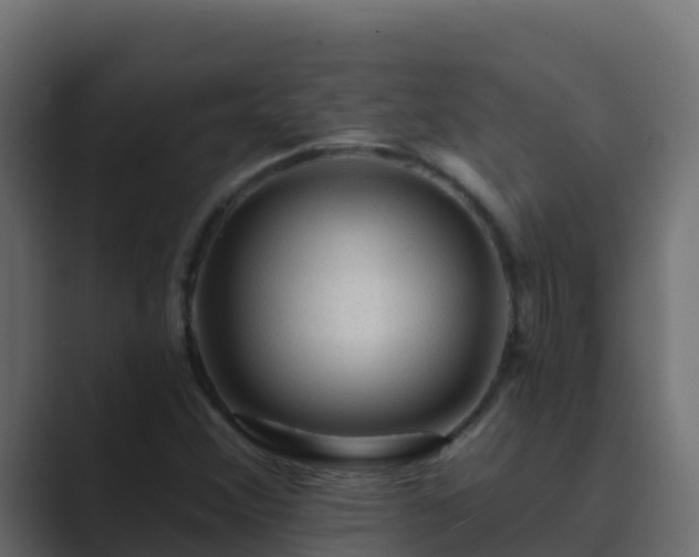 X0000089681356200706281350
