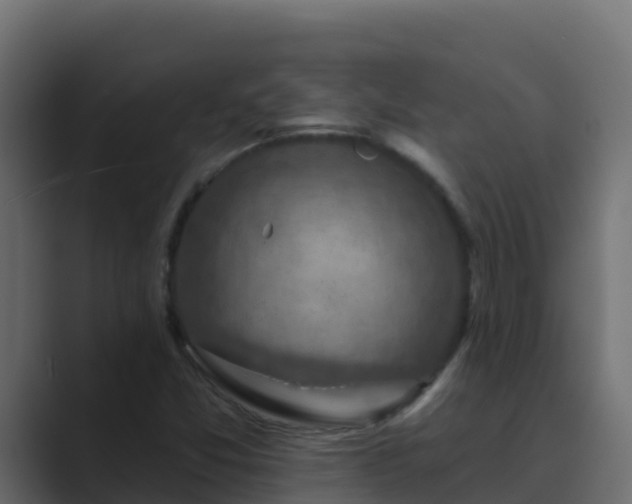 X0000089681357200706281350