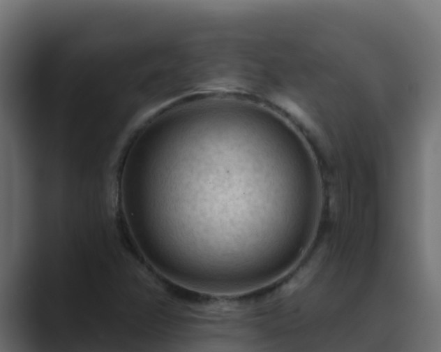 X0000089681358200706281350
