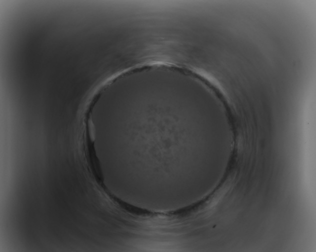 X0000089681359200706281350