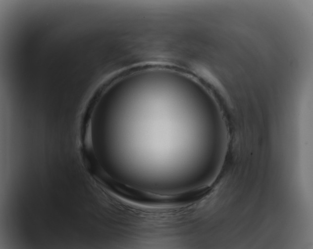 X0000089681360200706281350