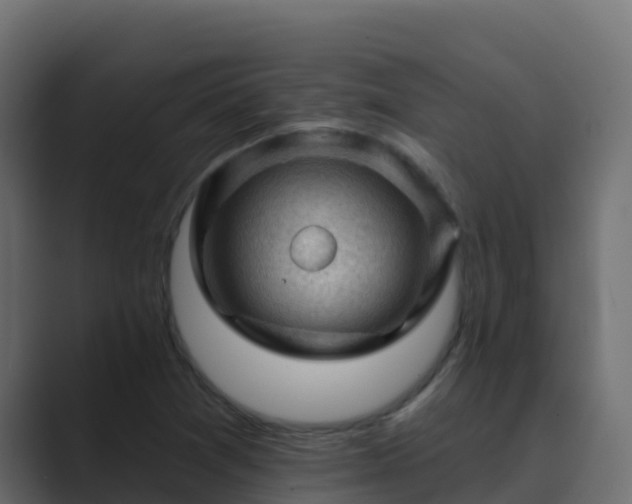 X0000089681361200706281350