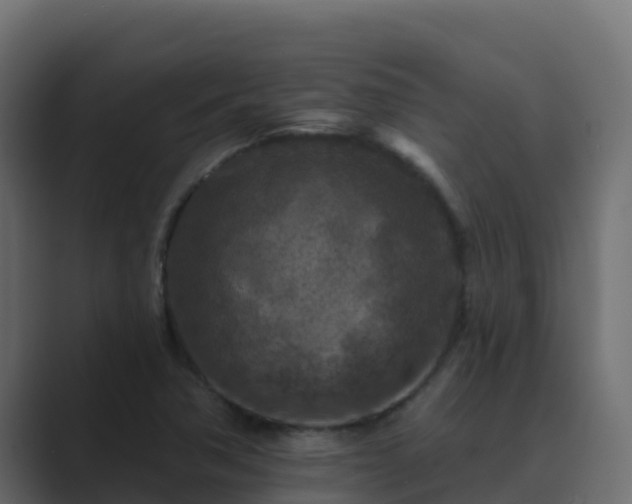 X0000089681362200706281350