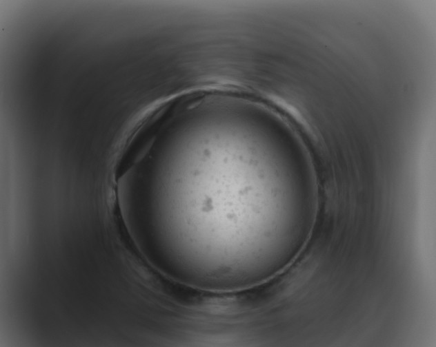 X0000089681363200706281350