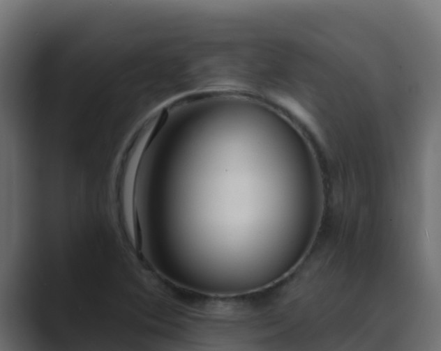 X0000089681364200706281350