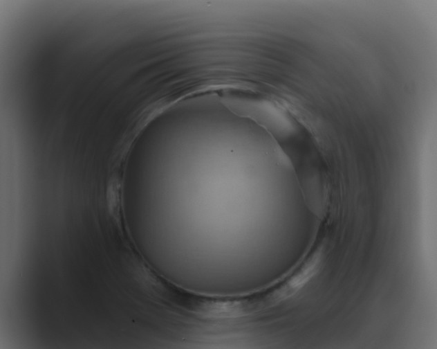 X0000089681369200706281350