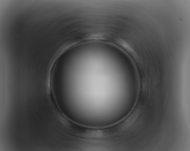 X0000089681370200706281350