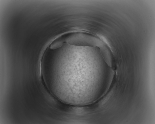 X0000089681371200706281350
