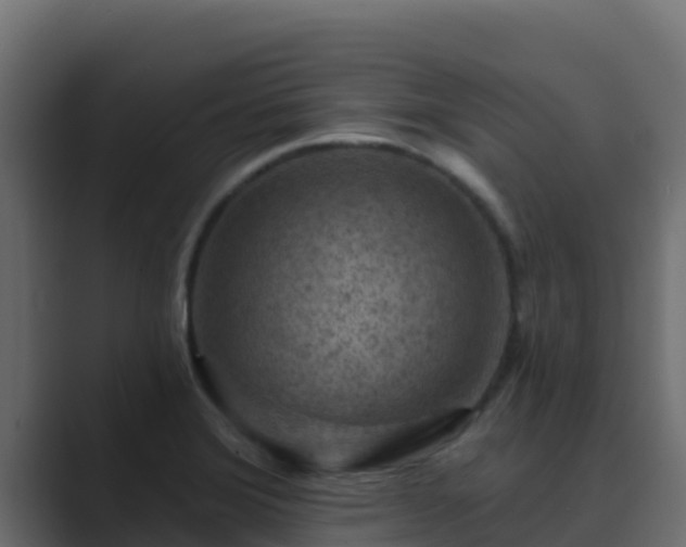X0000089681372200706281350