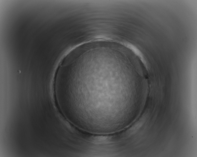 X0000089681373200706281350