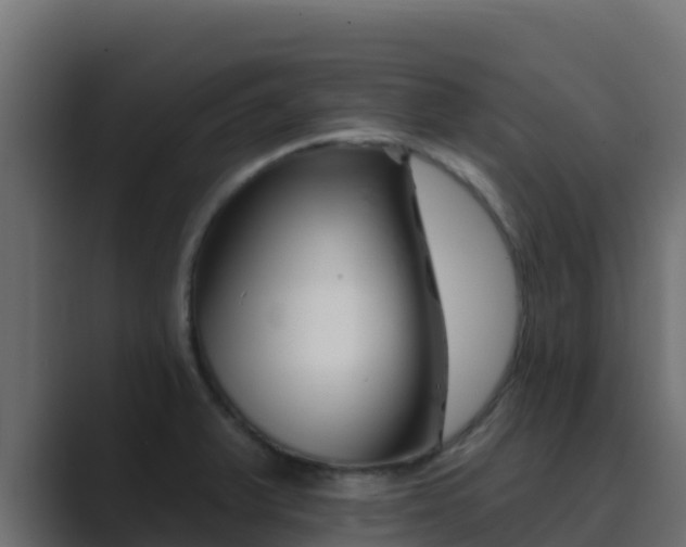 X0000089681375200706281350