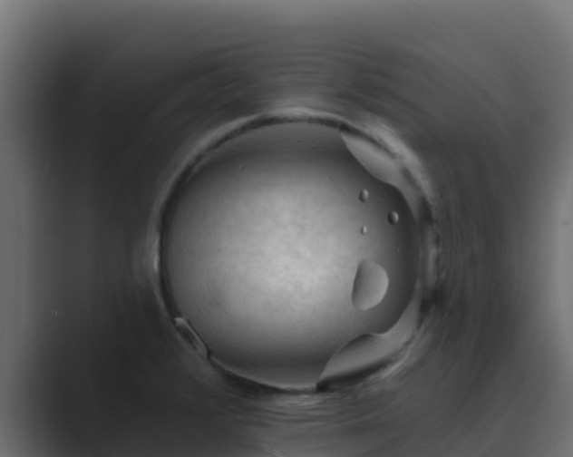 X0000089681376200706281350