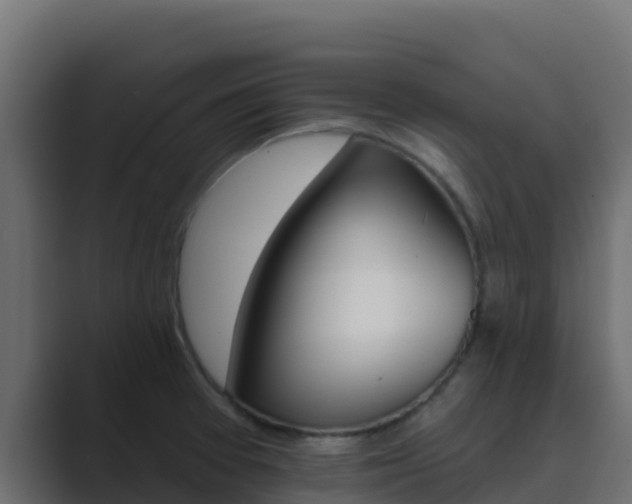 X0000089681377200706281350