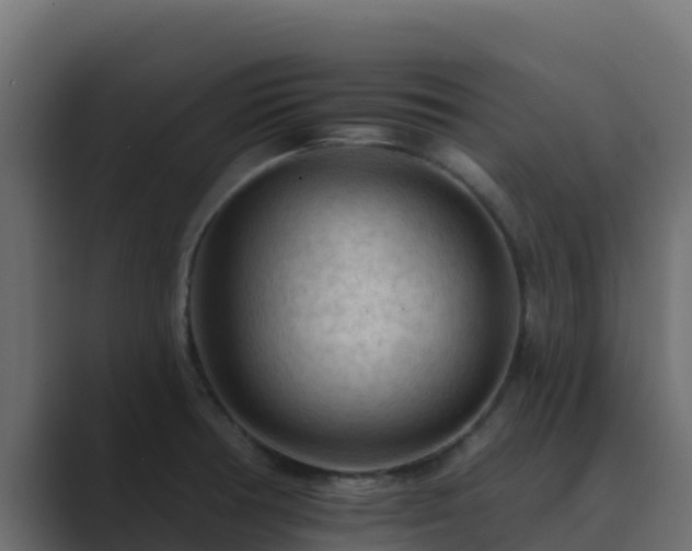 X0000089681378200706281350