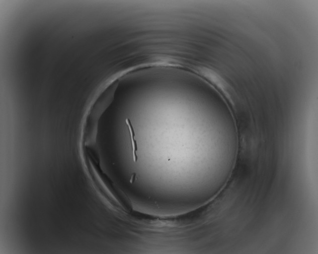 X0000089681379200706281350