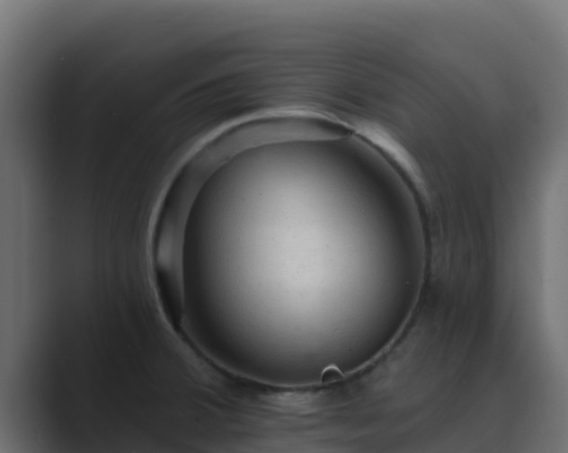 X0000089681380200706281350