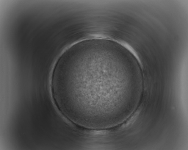 X0000089681381200706281350