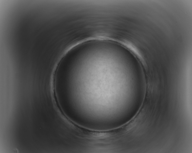 X0000089681382200706281350